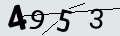 verifycode